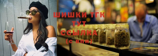 дживик Бородино