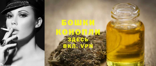 дживик Бородино