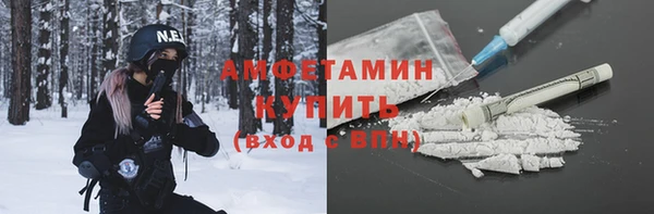 хмурый Верея