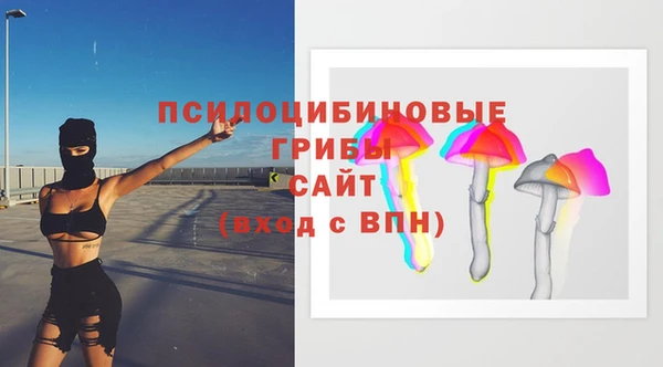 хмурый Верея