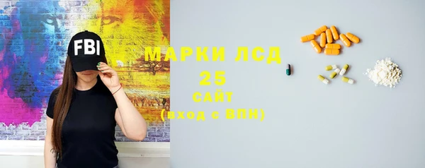 дживик Бородино