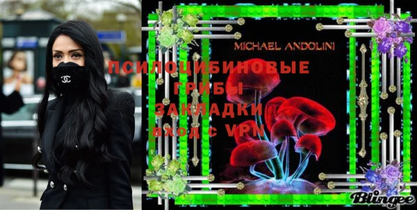 дживик Бородино