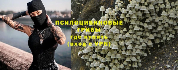 СК Беломорск
