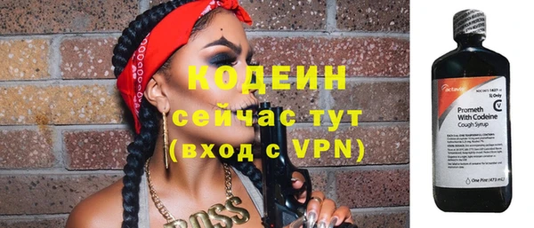 дживик Бородино