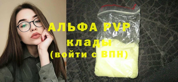 дживик Бородино