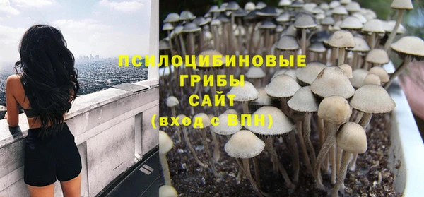 дживик Бородино