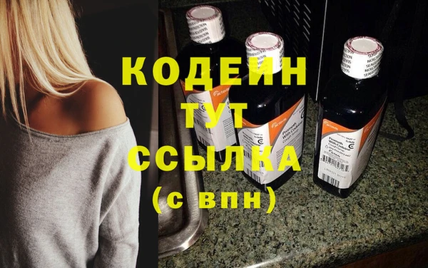 дживик Бородино