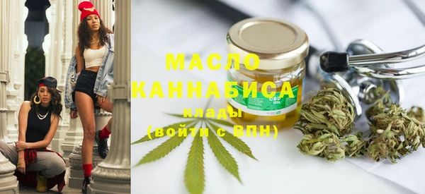 дживик Бородино