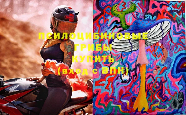 дживик Бородино