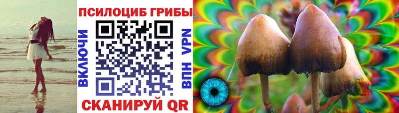 Галлюциногенные грибы ЛСД  shop клад  Волгореченск 